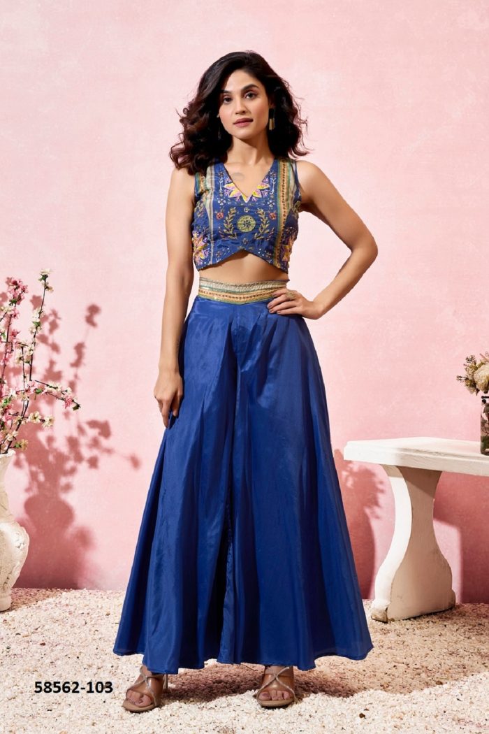 Indo Western Dress - Image 5