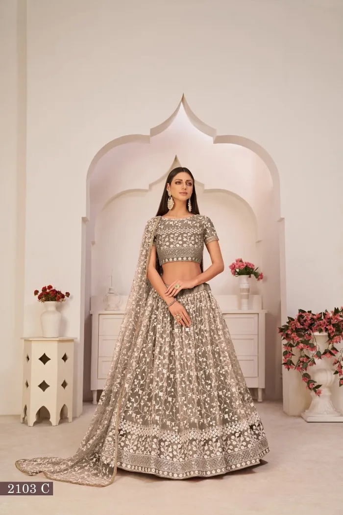Butterfly Net Lehenga Choli - Image 2