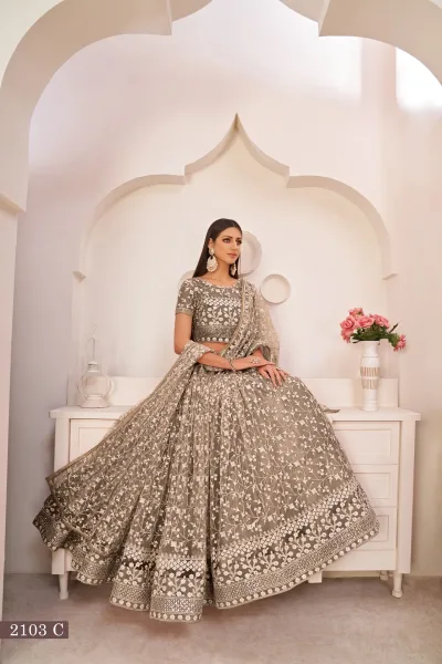 Butterfly Net Lehenga Choli
