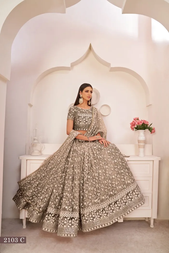 Butterfly Net Lehenga Choli