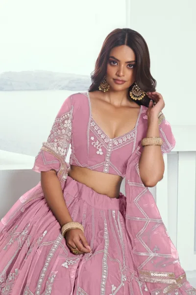 Pink Butterfly Net Lehenga Choli