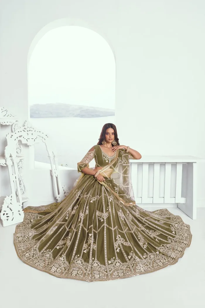 Butterfly Net Lehenga Choli