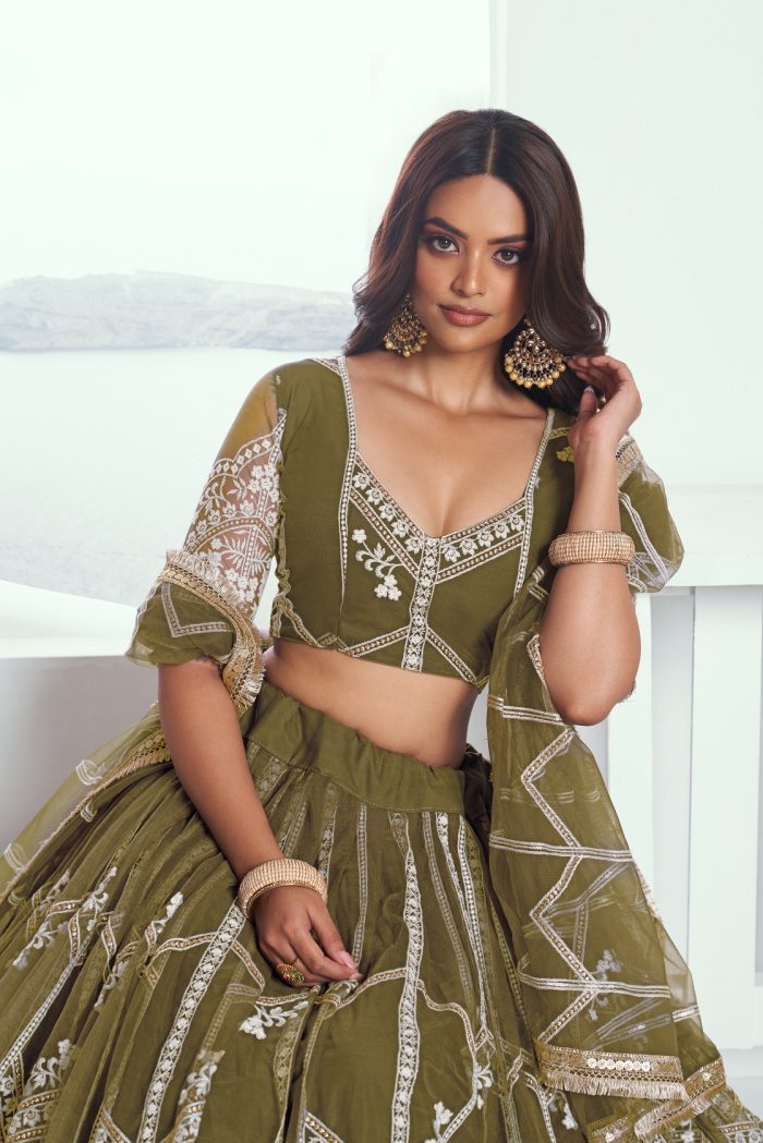Butterfly Net Lehenga Choli - Image 6