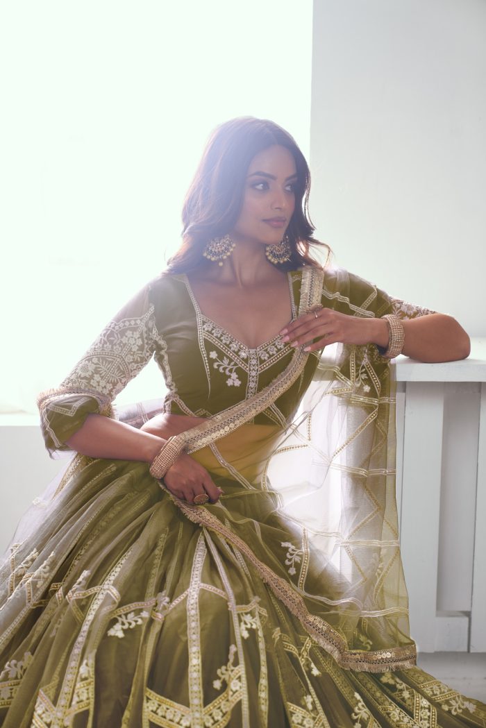 Butterfly Net Lehenga Choli - Image 5