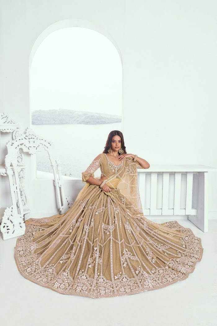 Butterfly Net Lehenga Choli - Image 3