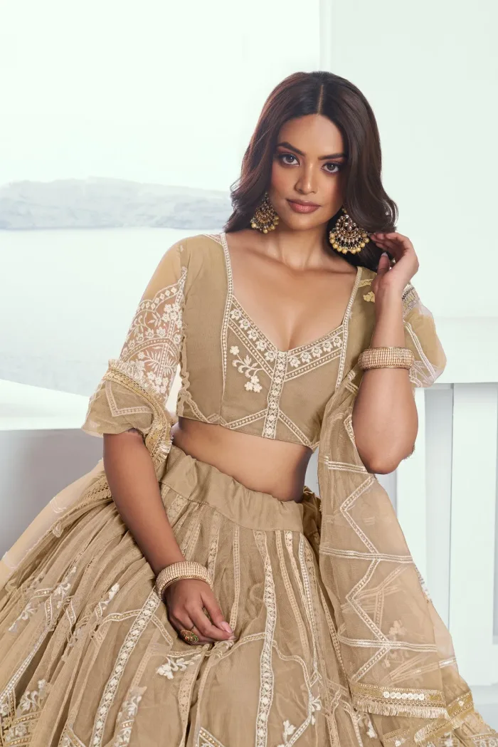 Butterfly Net Lehenga Choli