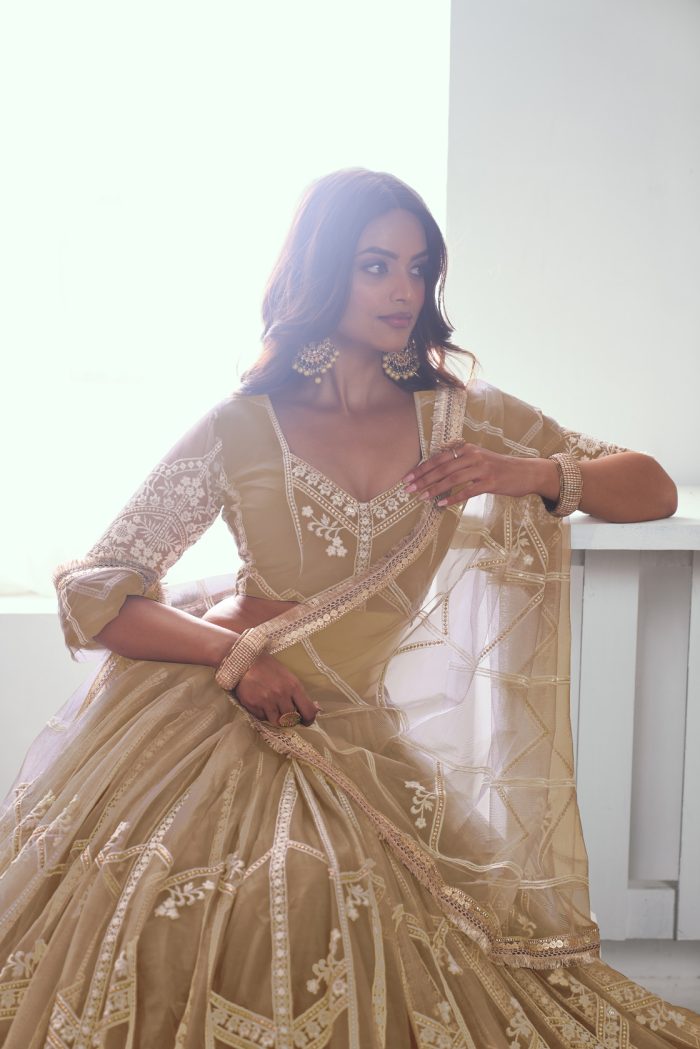 Butterfly Net Lehenga Choli - Image 5