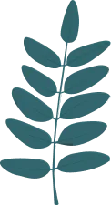 sale-leaf-2